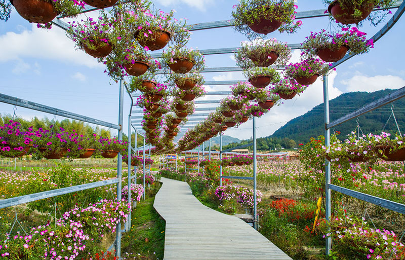 【庭院元素】花園廊架——春開花顏，夏落涼蔭