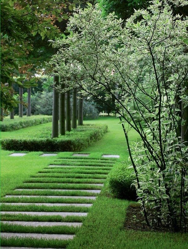 花園小徑，帶你探索花園里的一步一景