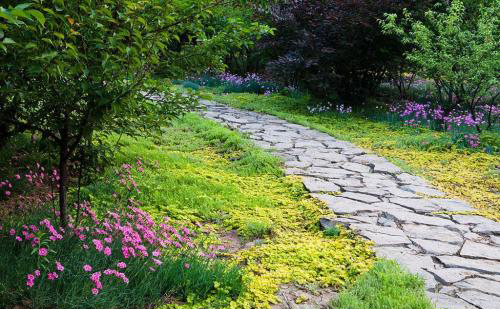 花園小徑，帶你探索花園里的一步一景