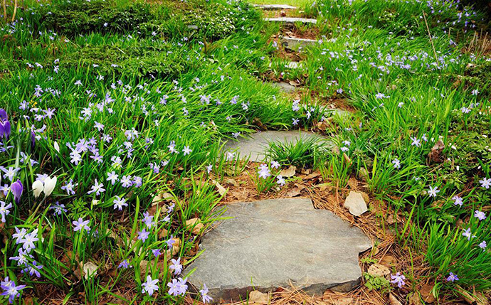 花園小徑，帶你探索花園里的一步一景