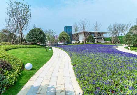 南京魯能泰山7號院住宅景觀