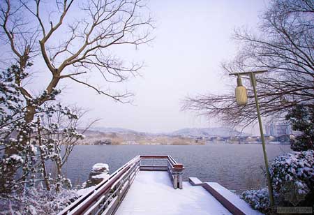 南京證大九間堂社區(qū)景觀