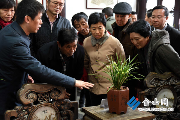 “幽香北固”鎮江市首屆春蘭展正式開幕