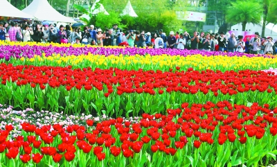 “2013年香港花卉展”在維多利亞公園開幕