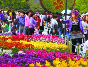 北京植物園“五一”迎來5萬賞花人