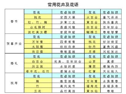 春節送禮新鮮而又有創意（圖）